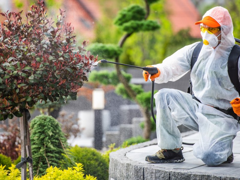 Kangal Haşere İlaçlama