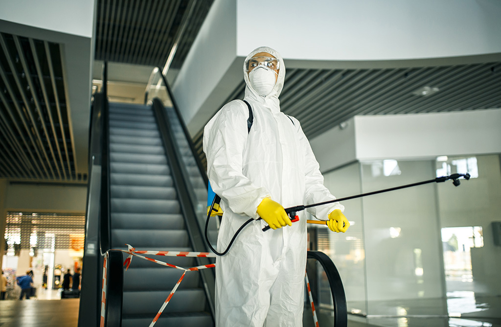 Kangal Haşere İlaçlama